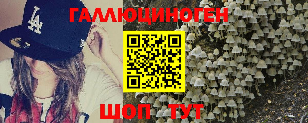 Галлюциногенные грибы Psilocybe Миасс