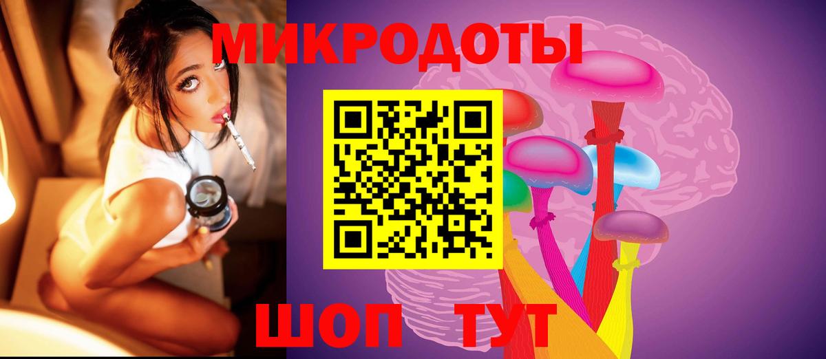 Миасс  Псилоцибиновые грибы Psilocybine cubensis  Вход с VPN 